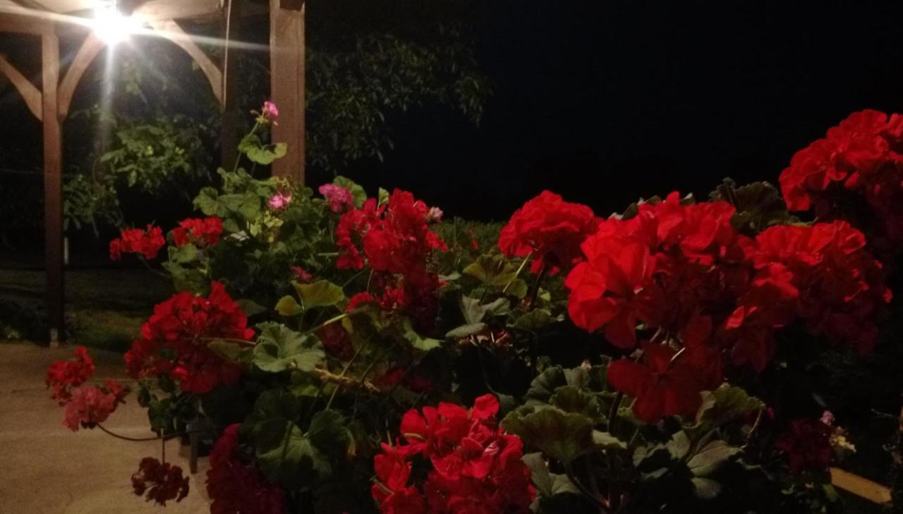 Pokoje Goscinne Gazda Polanica-Zdrój Exterior foto